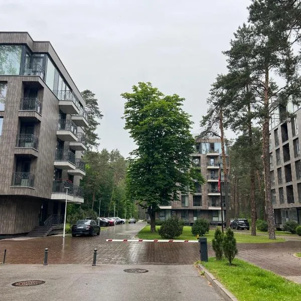 Nemuno Banga, hotel in Druskininkai