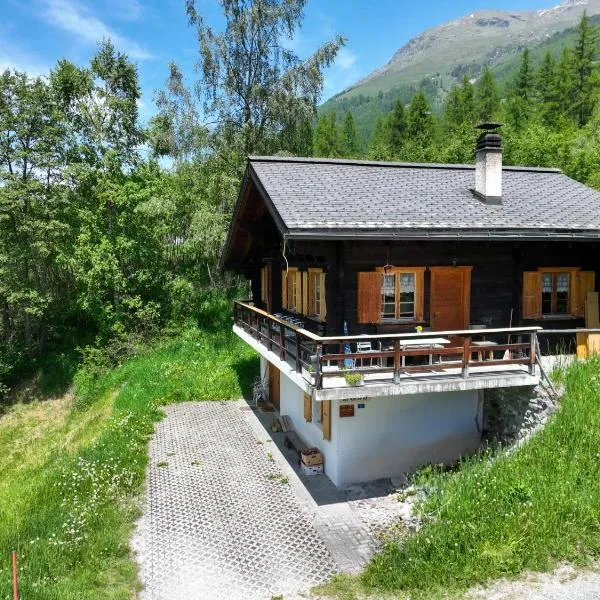 Chalet Coquelicot by Interhome, hotel in Zinal