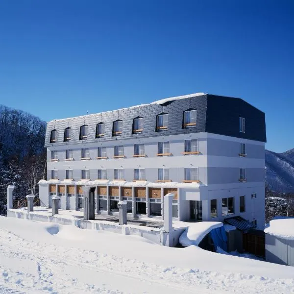 Ryuo Park Hotel, hotel in Yamanouchi