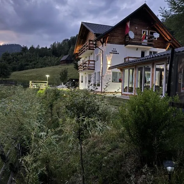 Casa Teodora, hotel v destinaci Albac