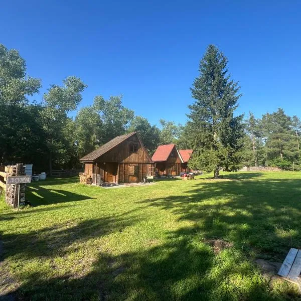 Koliba Hoděšovice, hotel v destinaci Býšť