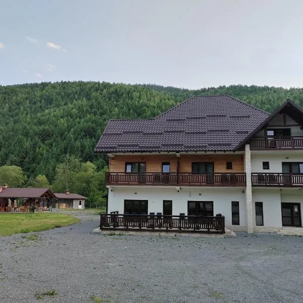 Pensiunea Armonia Albac, hotel v destinaci Albac