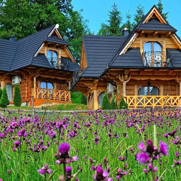 Góralska Chatka 3 Highland Cottage - Jacuzzi, Sauna, Split AC, Private parking, Mountains View, Hotel in Zakopane