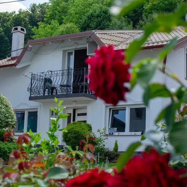 Apartman Lara, hotel in Krapina