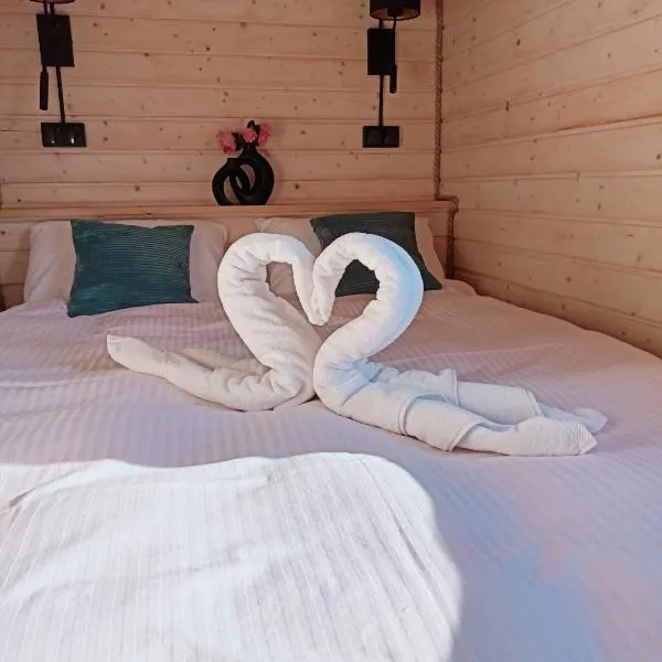 Winnica Zatorska: Olszyny şehrinde bir otel