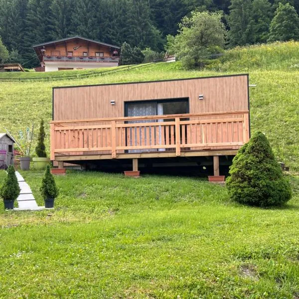 Studio, hotel v destinaci Abondance