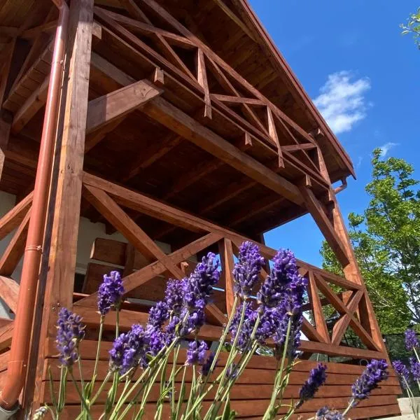 Domki pod Brzózką, hotel v destinaci Prażmowo