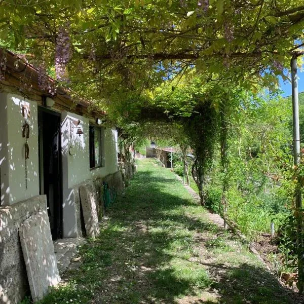 Tra Fiori e Antichità, hotel a Cerchiara
