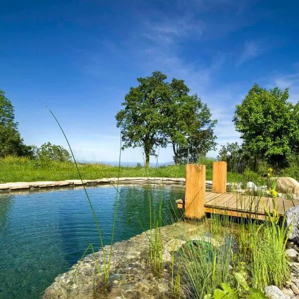 MAS CANERS - Eco-Chic Lodges, Nature Spa & Biological Pool, hotel in Montbolo
