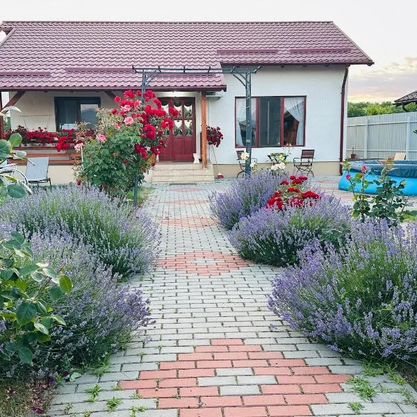 Mountain View House Brasov, hotel di Braşov