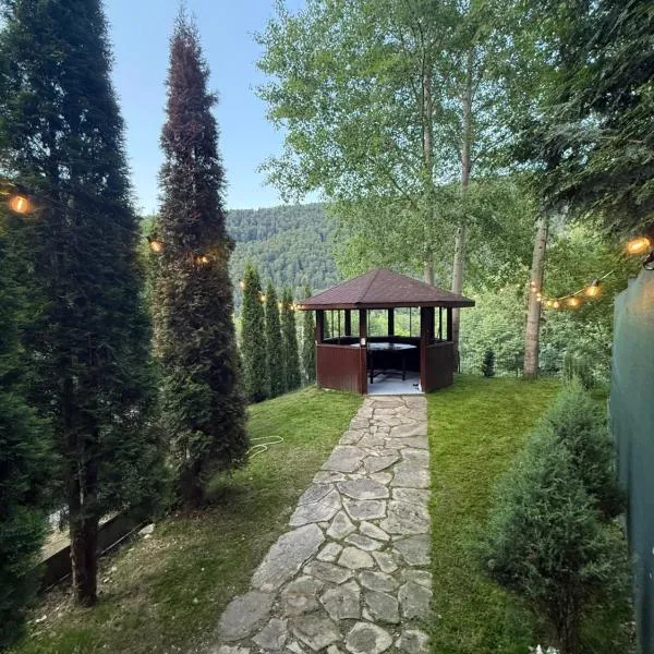 Dialogue Apart with PRIVATE GARDEN & BBQ, hotel v destinaci Sinaia