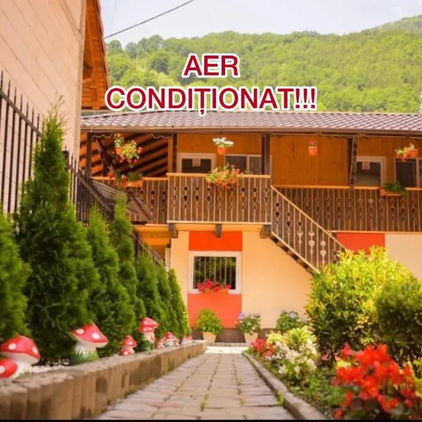 Pensiunea Casa Ioana, hotel v destinaci Şugag
