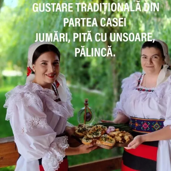 Cris & Mona, hotel v destinaci Săpînţa