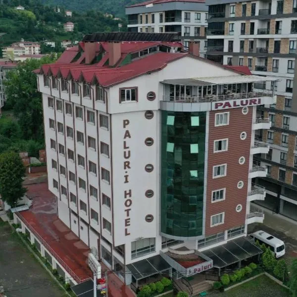 Paluri Otel Hopa, hotel in Hopa