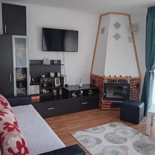 CASA ALY, khách sạn ở Nucşoara