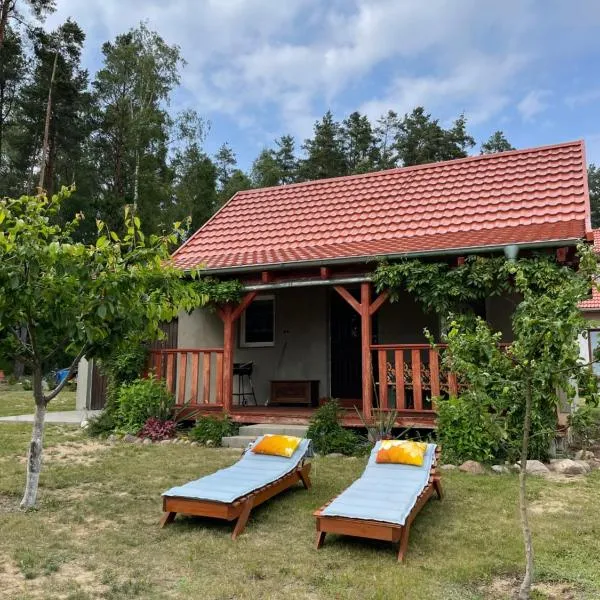 Leśna Ostoja, hotel in Pozezdrze