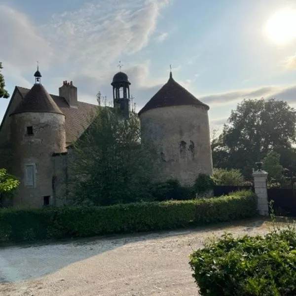 Logement Château de Villeneuve, hotel in Villeneuve-sur-Cher