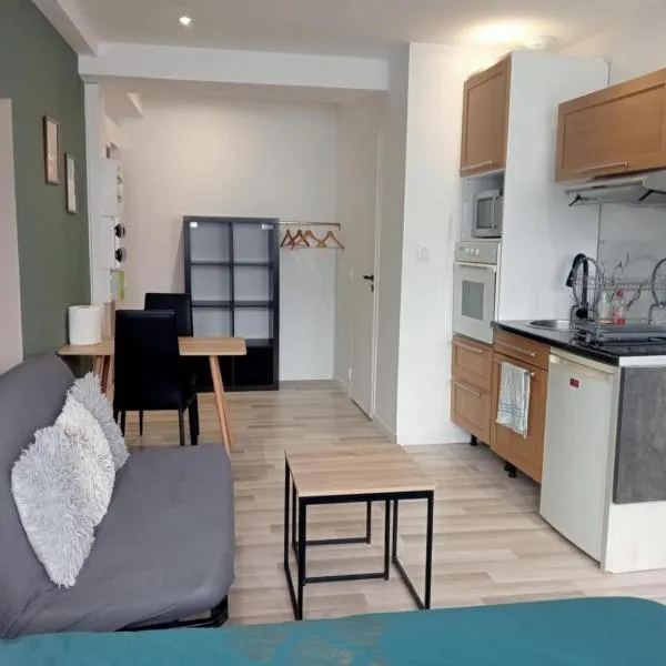 Grand studio centre-ville, hotel v destinácii Villedieu-les-Poëles