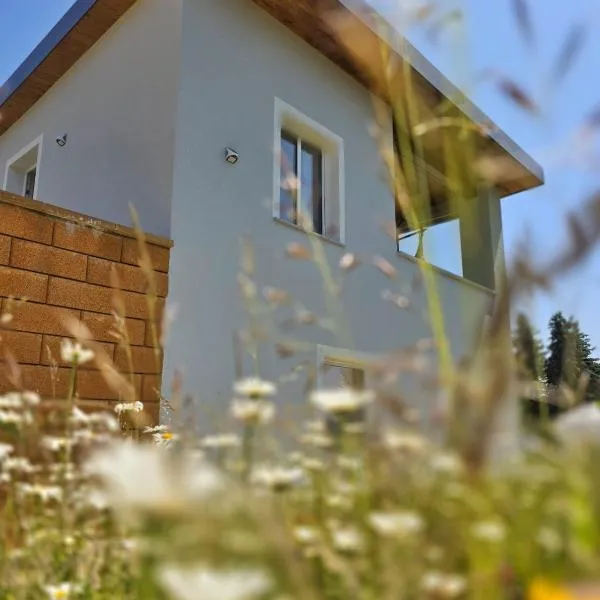 Ferienhaus am Thüringer Meer, hotel di Bad Lobenstein