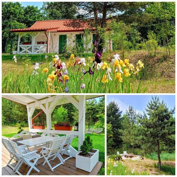 Siedlisko Panorama na Koncu Swiata - Całoroczny domek, hotel v destinaci Podgórz