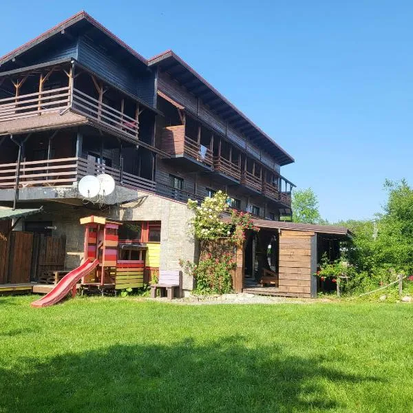 Pensiunea ANA Vistisoara, hotel di Vistisoara