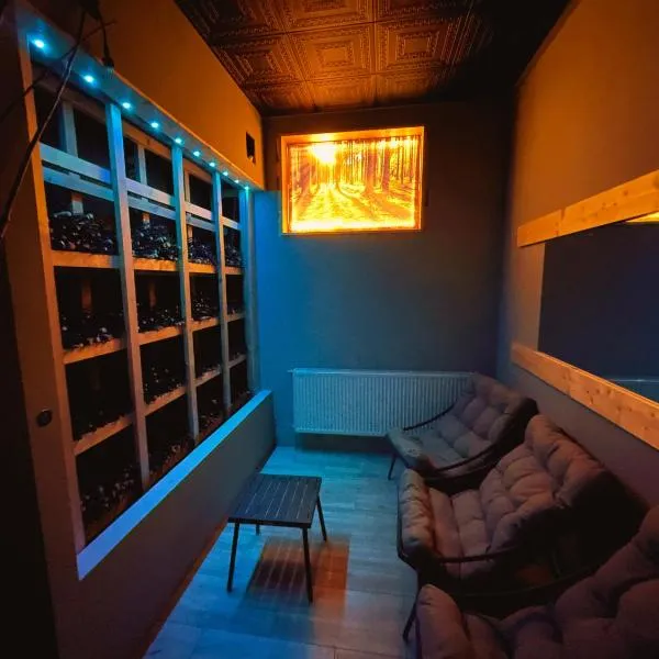 Good Night Noclegi & Strefa Wellness Only Adults, hotel in Czechowice-Dziedzice