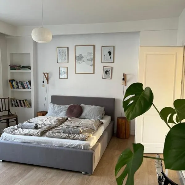 Apartamenty Rajcza, hotel in Rajcza