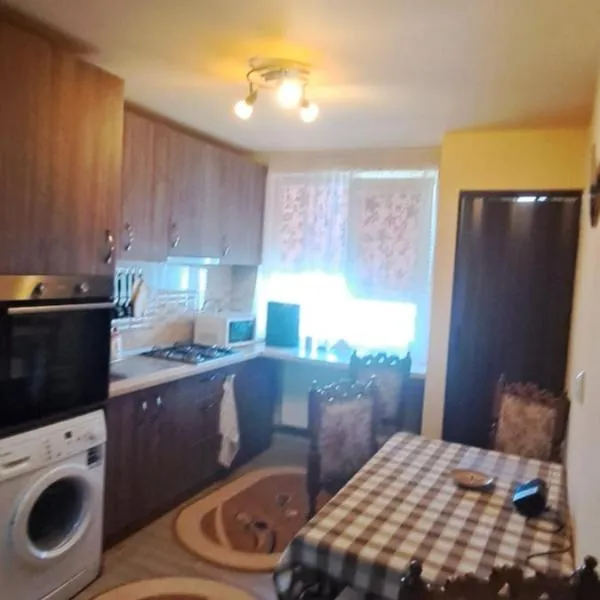 Casa de oaspeți, hotel in Brad