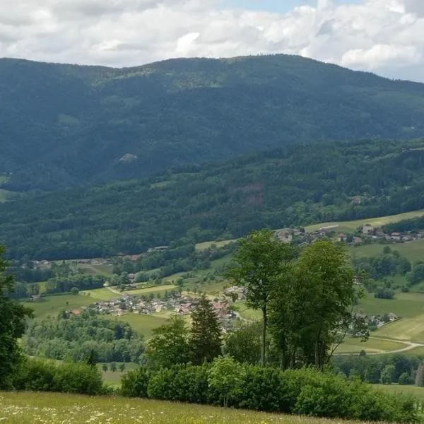 appartement indépendant dans ancien chalet d'alpage, hotel em Burdignin