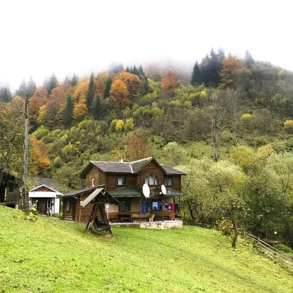 Котедж Ксенія, hotel in Dzembronia