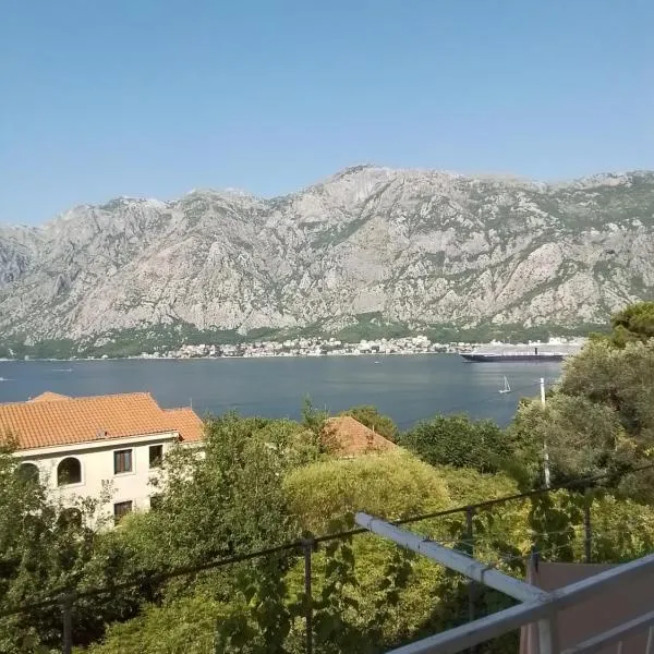 Apartments Djuricic, hotel in Kotor