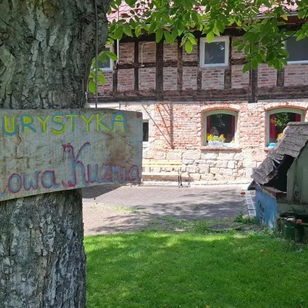 Malinowa Kuźnia, hotel v destinaci Włodzice Wielkie