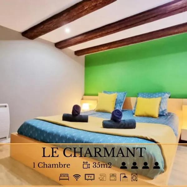 Splendide Appartement Barr - Route du Vins, hotel v destinaci Barr