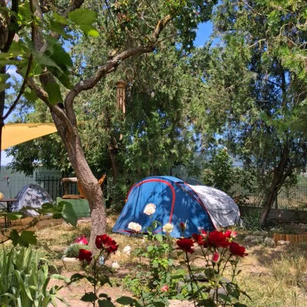 Camping Curtea Pescărușului, hotel in Vama Veche