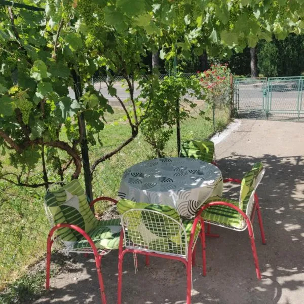 Vila Spas, hotel en Mataruška Banja