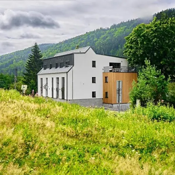 Apartmán Plešivec, hotel in Merklín