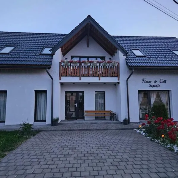Floare de Colt Sapanta, hotel in Săpînţa