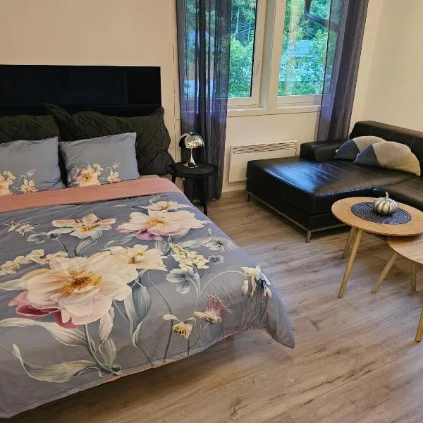 Dalen studio 3, hotel v destinaci Dalen