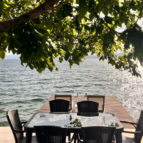 Villa Tatjana Apartments, hotel di Radožda