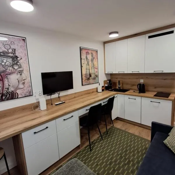 Mikrokawalerka w ścisłym centrum, hotel a Legnica