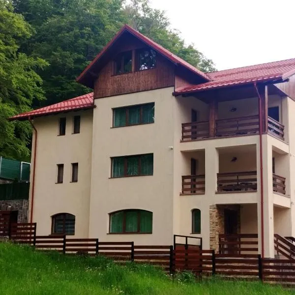 Casa Raisa, hotel in Buşteni