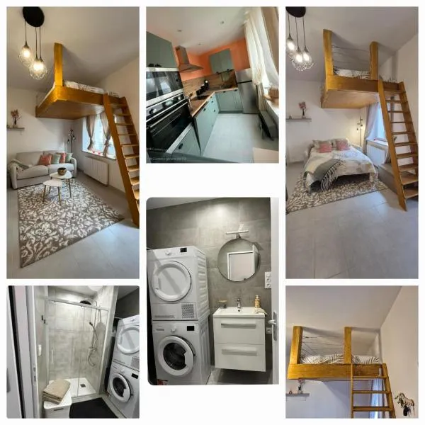 le petit cosy Sunshine, hotel em Romorantin-Lanthenay