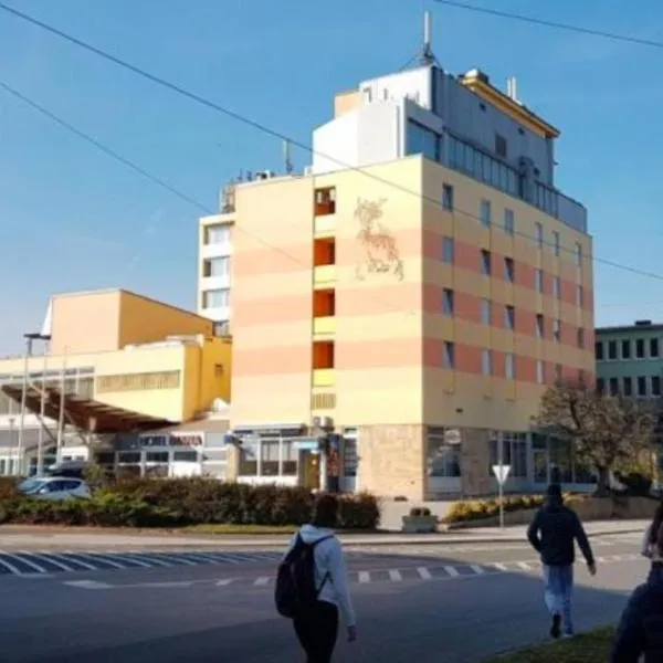 hotel Diana, hotel v destinaci Murska Sobota