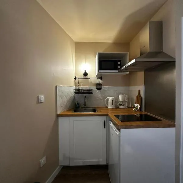 Studio 5 Aux volets bleus, hotel in Aulus-les-Bains