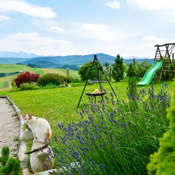Domek na wzgórzu, hotel v destinaci Łapsze Niżne