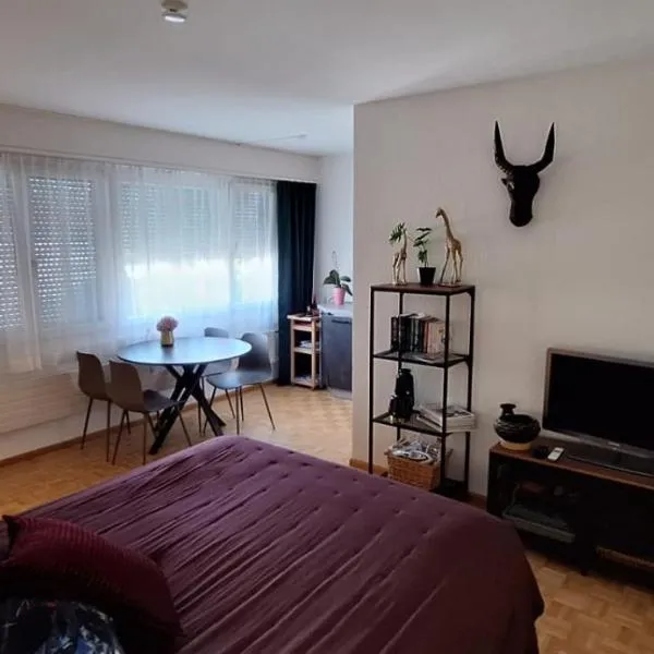 Central 2 room apartment near SBB, hotel en Basilea