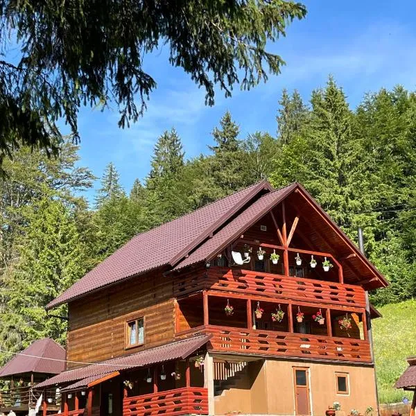 Cabana Sânziana, hotel v destinaci Girda de Sus