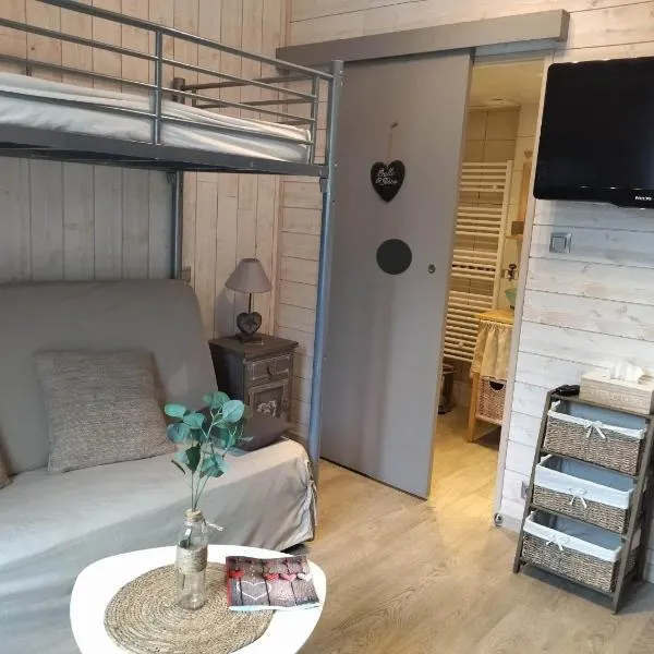 Appartement chaleureux et cosy, hotel in Le Mont-Dore