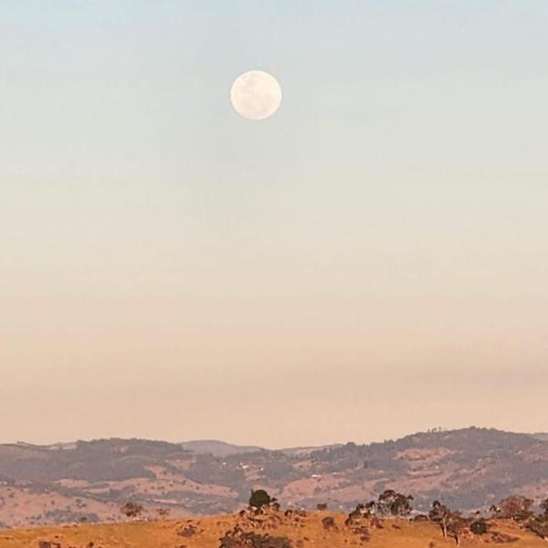 Apê com Vista na Montanha
