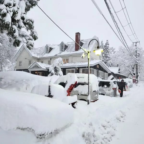 Myoko Forest Lodge, hotel in Myoko